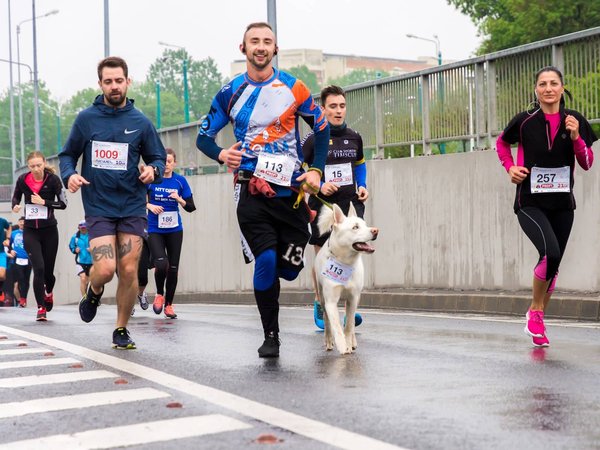 Quel est le marathon le plus plat ?